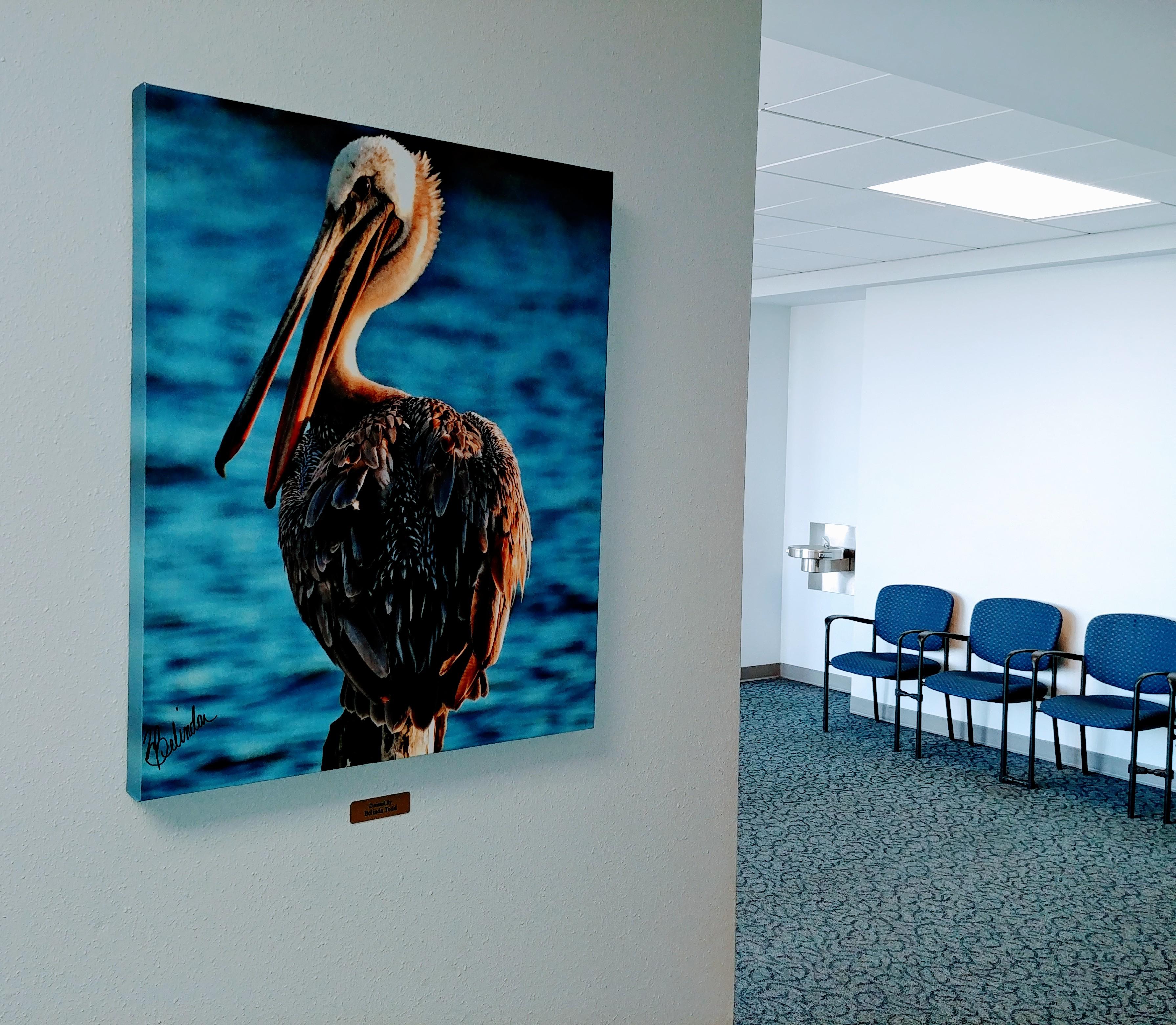 Pelican Perch by Belinda Todd